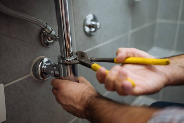 Best Same-Day Plumbing Service  in Chrisman, IL